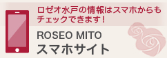 ROSEO MITO ޥۥ